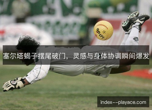塞尔塔蝎子摆尾破门，灵感与身体协调瞬间爆发